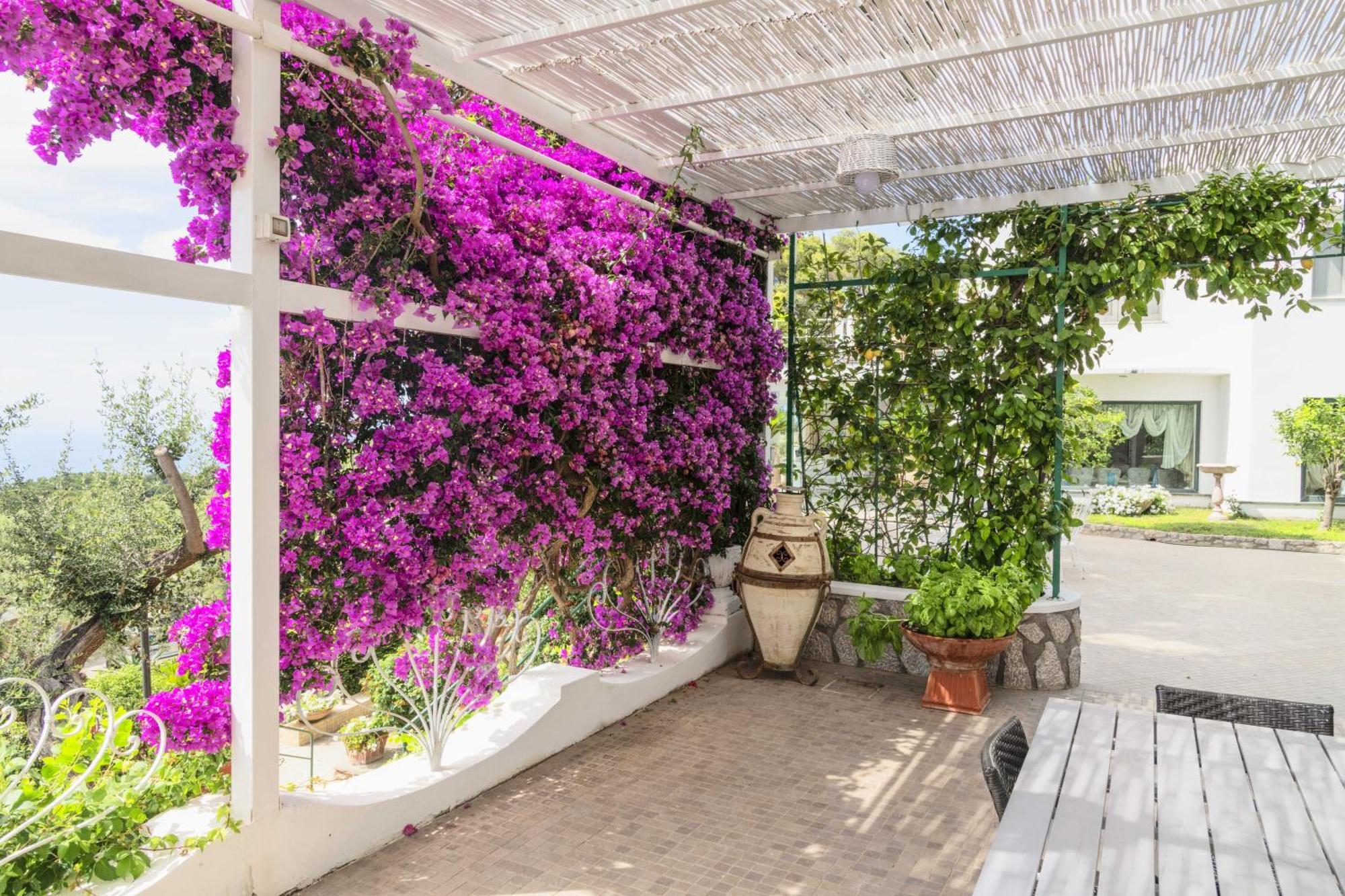 La Canostra Capri - Luxury Room Ad Anacapri Экстерьер фото